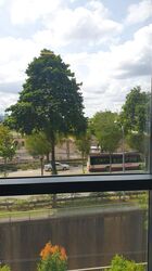 Woods Square (D25), Office #619299061